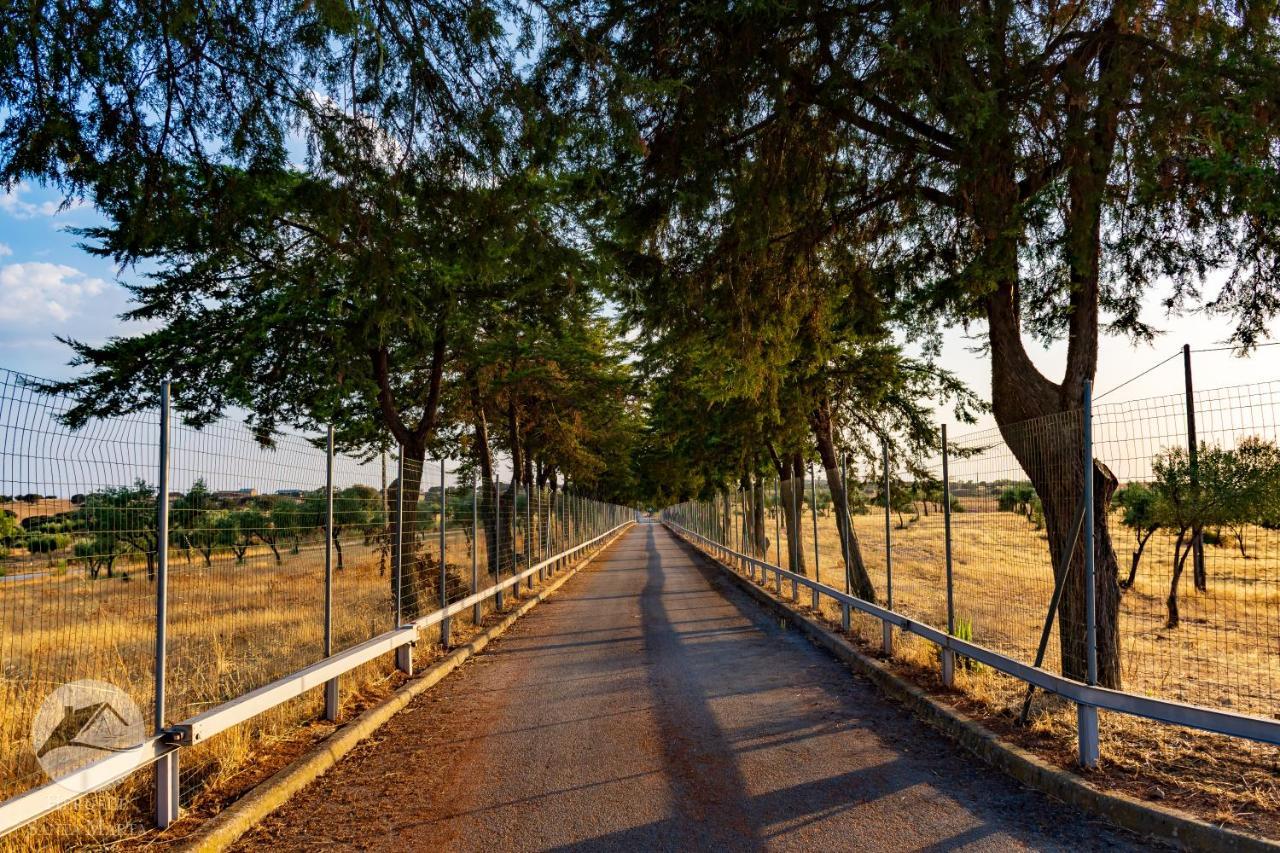 Zebreira Alojamento Local Santa Marta מראה חיצוני תמונה